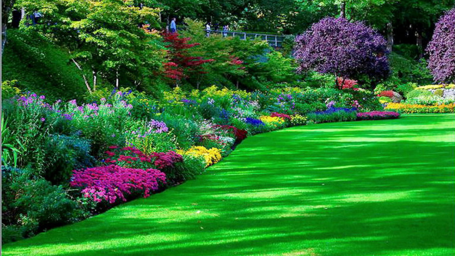 Lawn & Garden