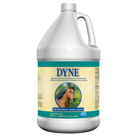 Dyne (1 Gallon) for horses and ponies